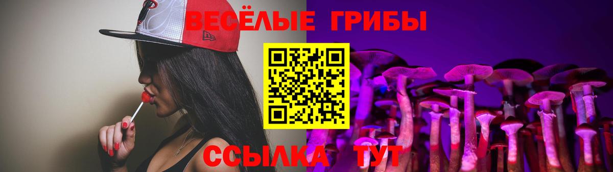 Псилоцибиновые грибы прущие грибы Железногорск